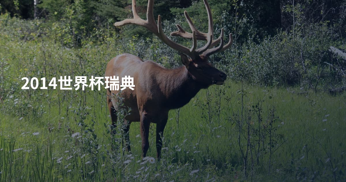 2014世界杯瑞典