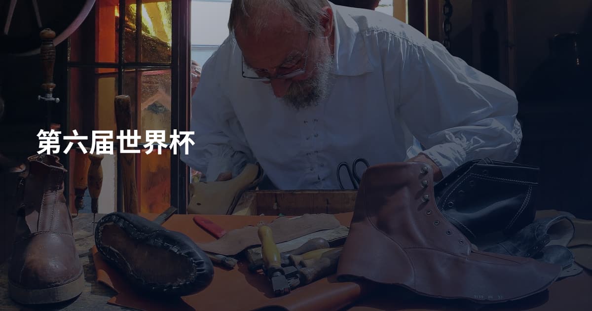 第六届世界杯
