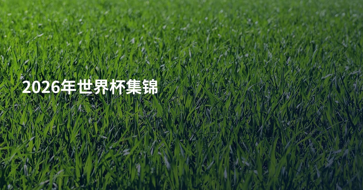 2026年世界杯集锦