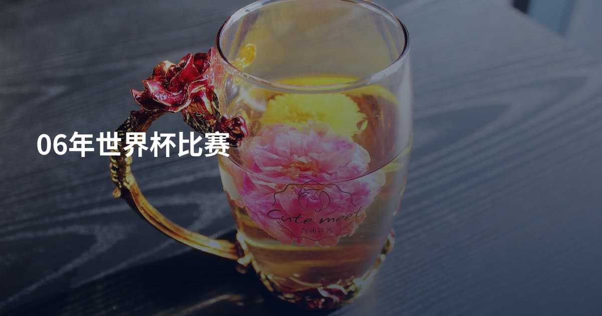 06年世界杯比赛
