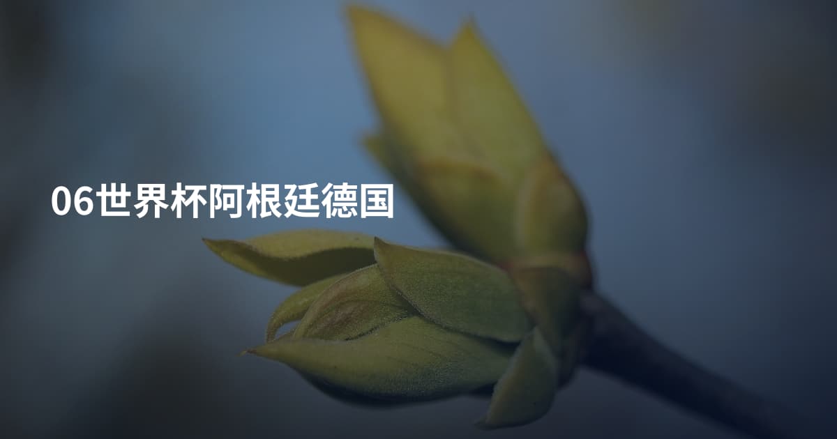 06世界杯阿根廷德国