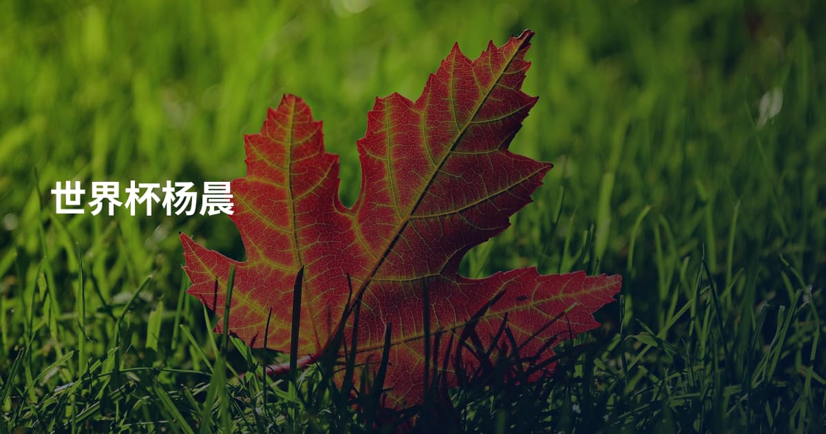 世界杯杨晨