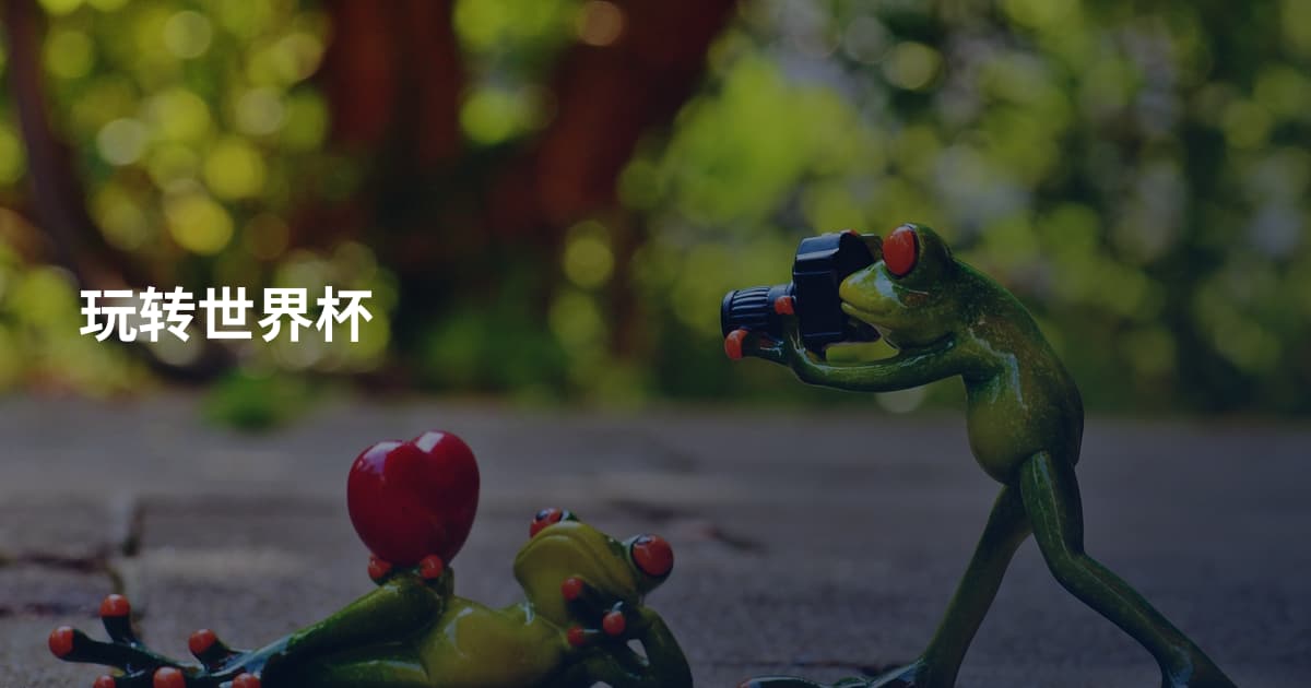 玩转世界杯