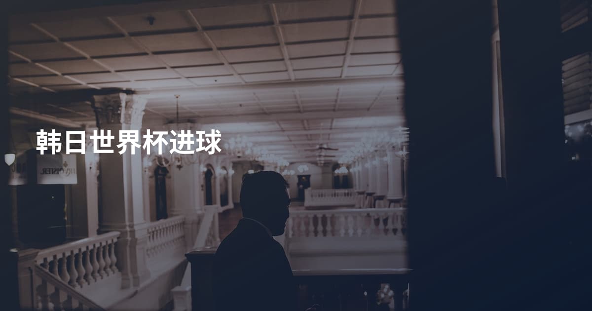 韩日世界杯进球