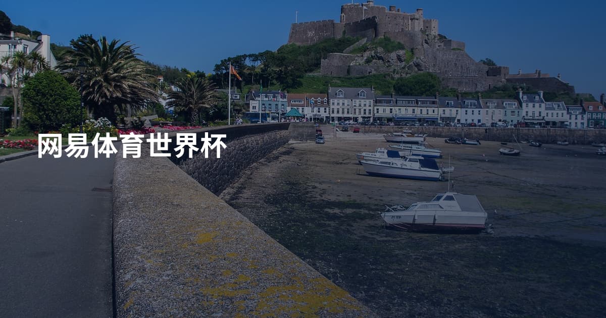 网易体育世界杯