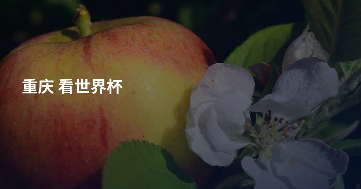 重庆 看世界杯