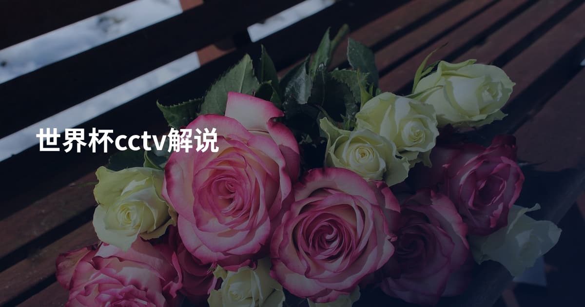 世界杯cctv解说