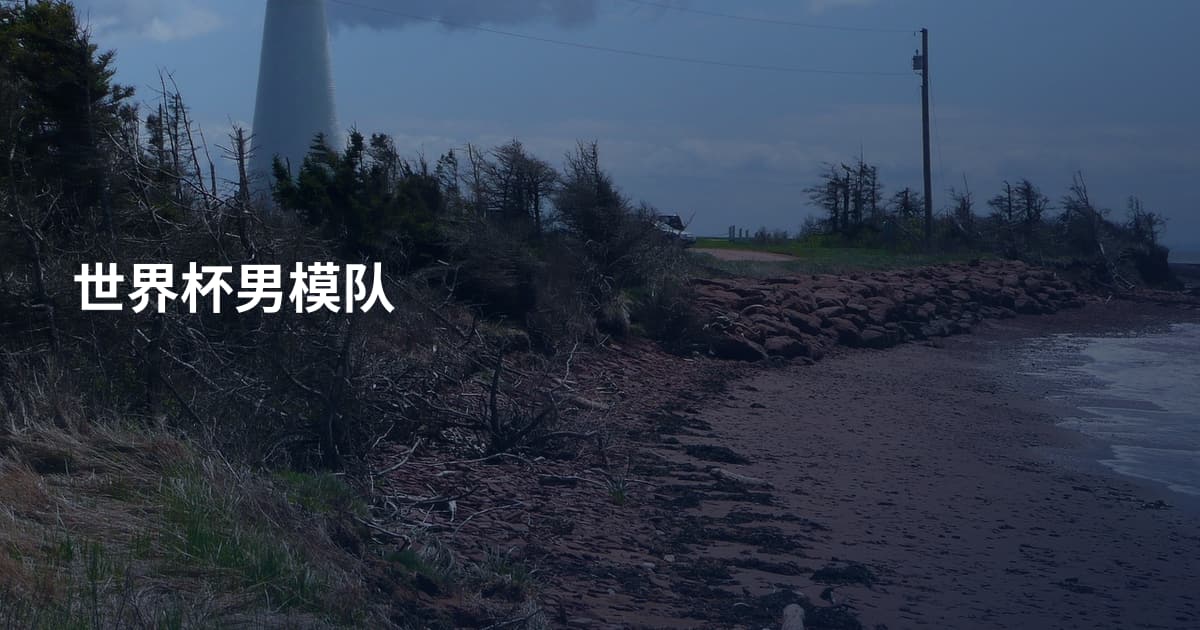 世界杯男模队