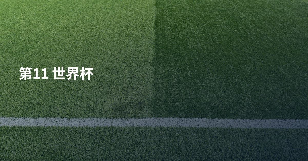 第11 世界杯