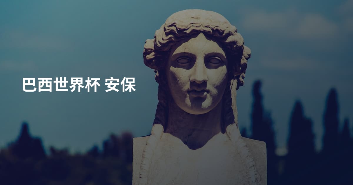 巴西世界杯 安保