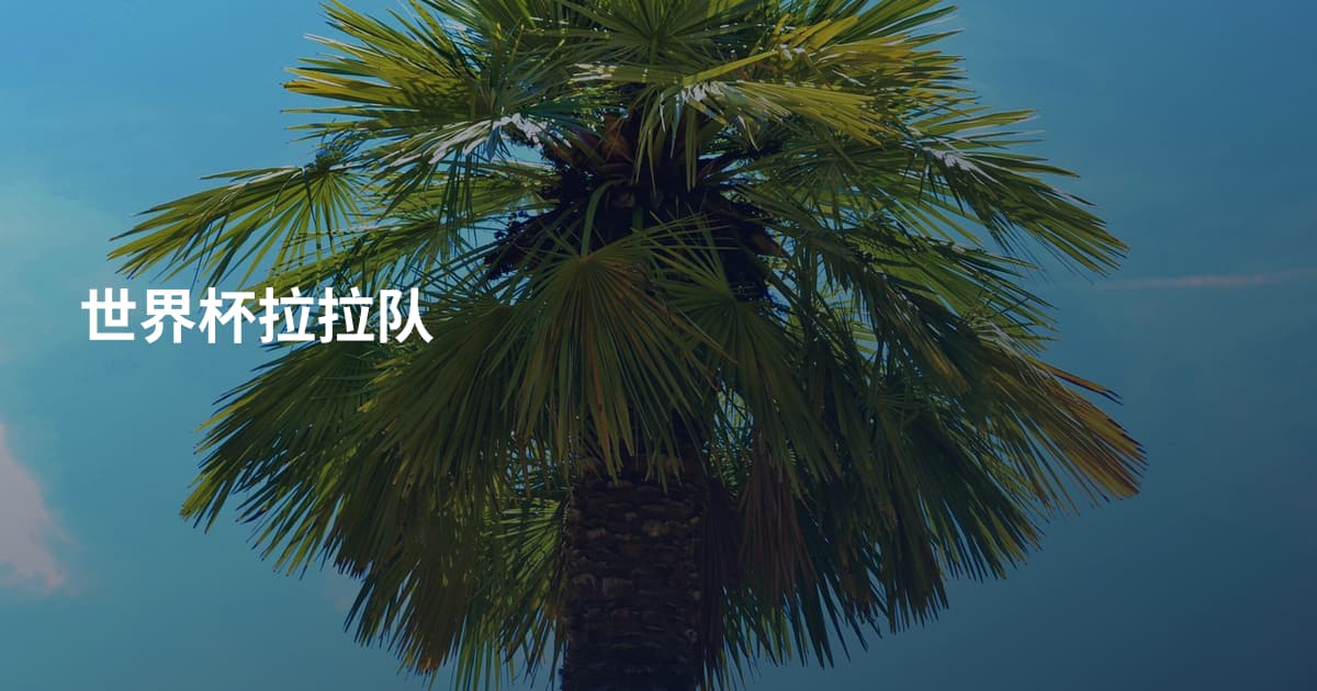 世界杯拉拉队