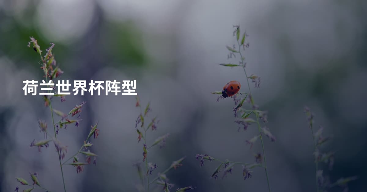 荷兰世界杯阵型