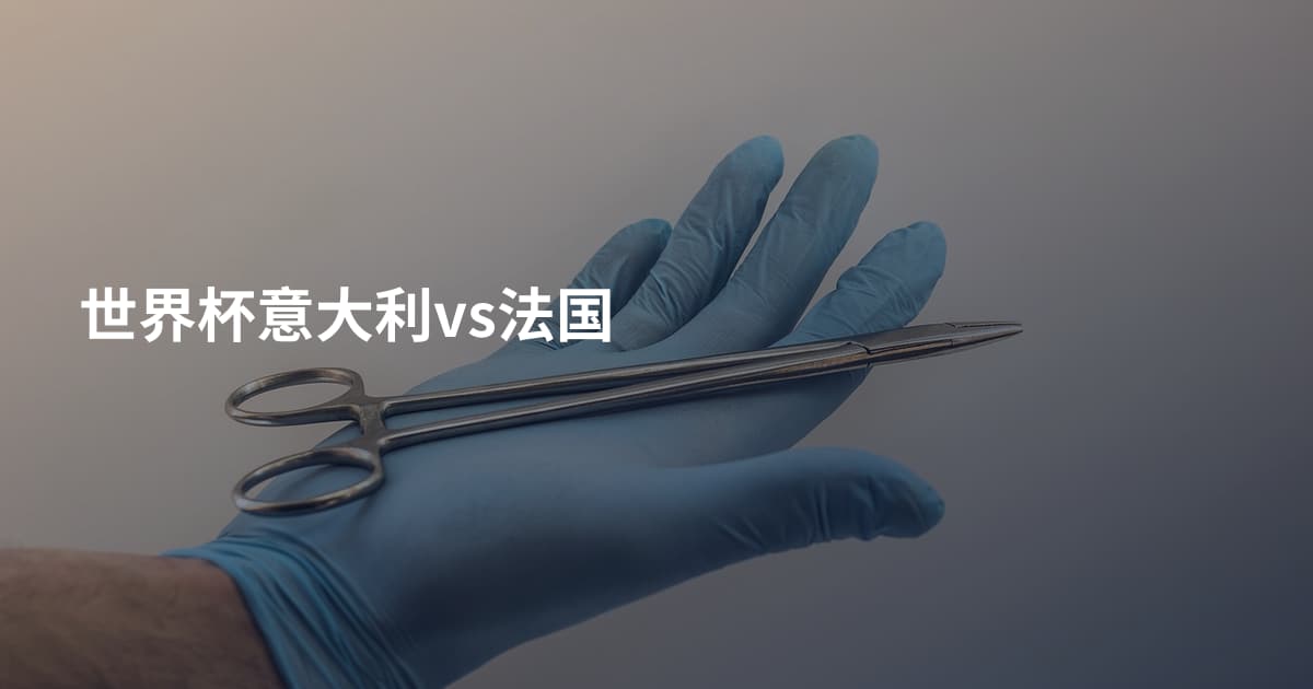 世界杯意大利vs法国