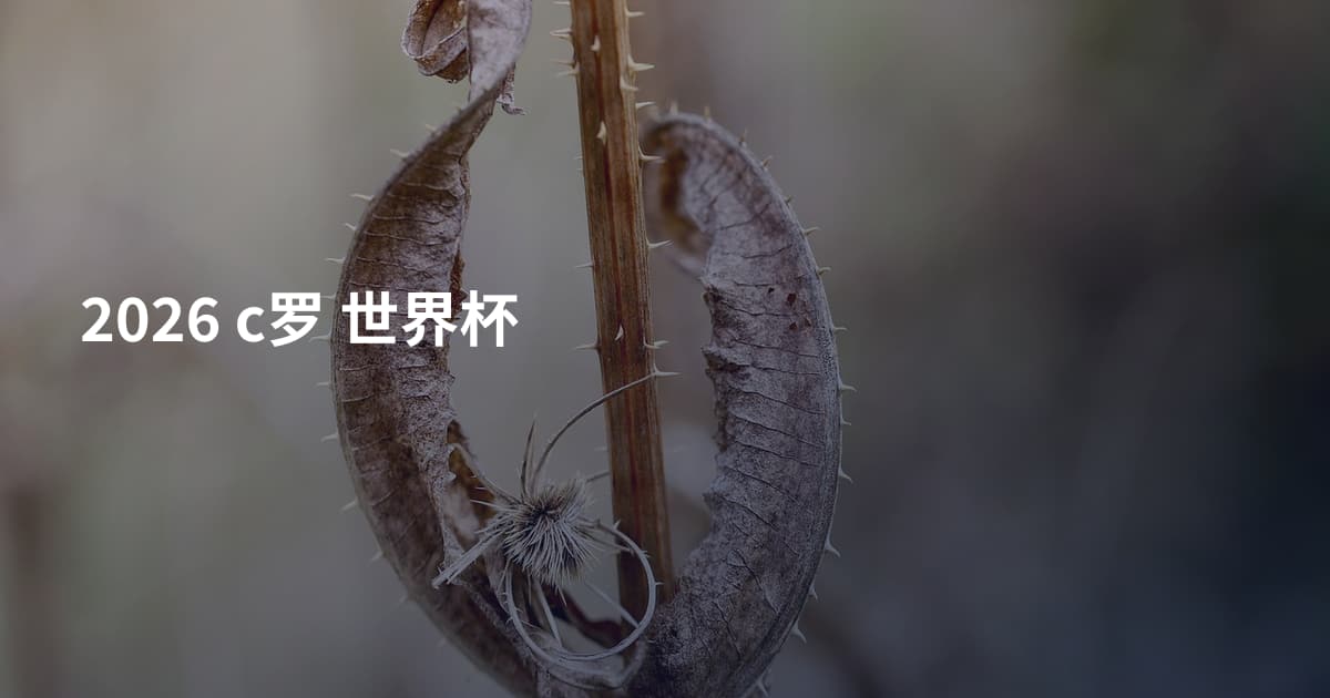 2026 c罗 世界杯