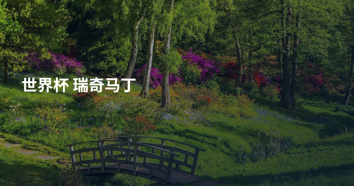 世界杯 瑞奇马丁