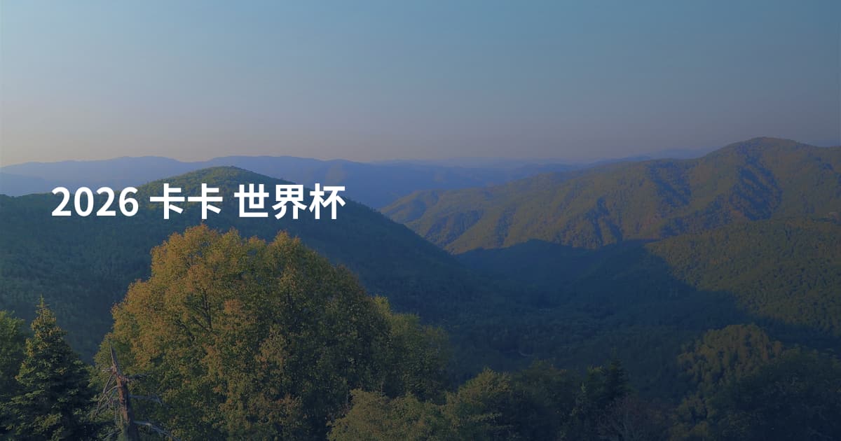 2026 卡卡 世界杯