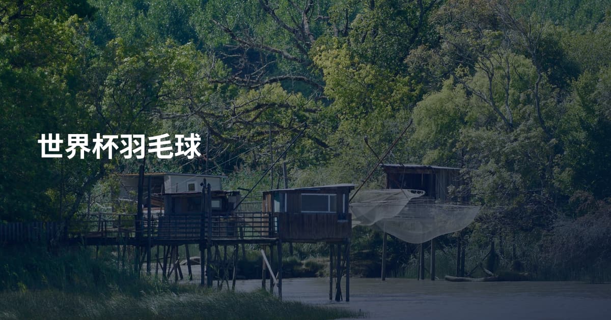 世界杯羽毛球