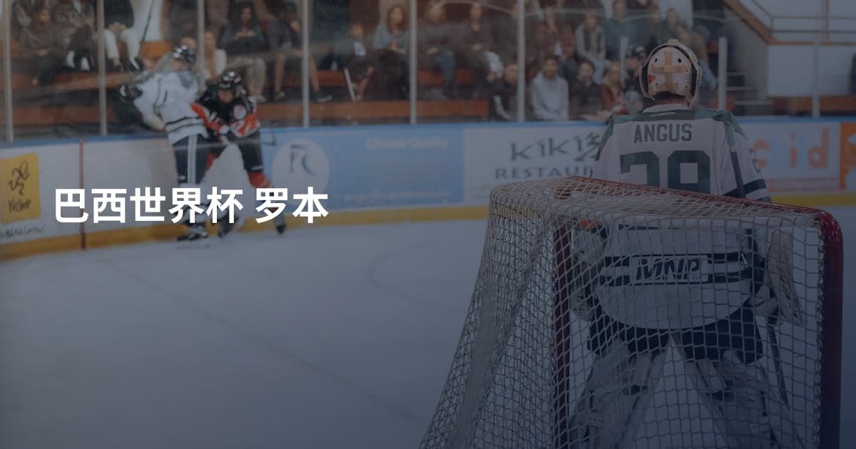 巴西世界杯 罗本