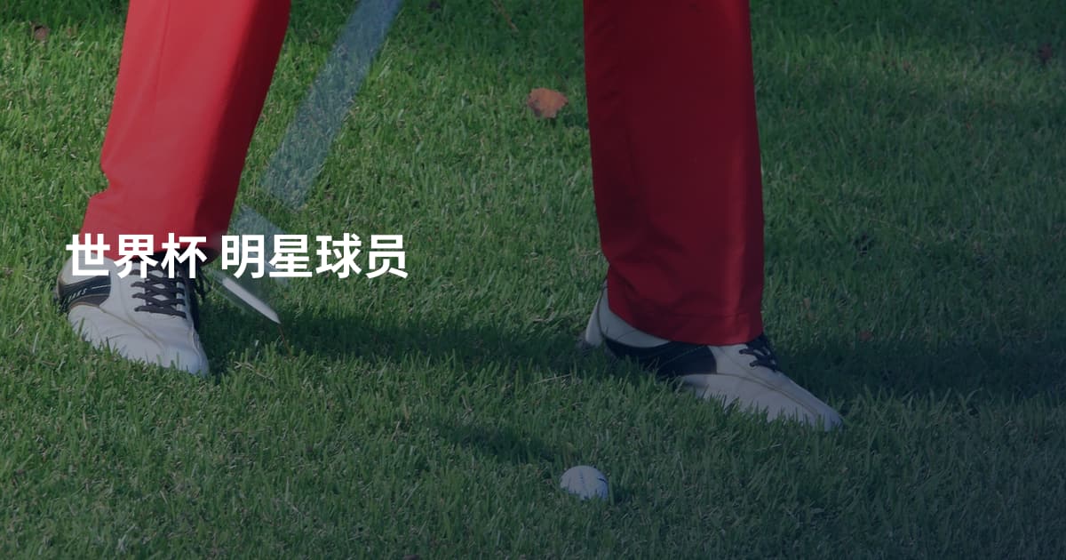 世界杯 明星球员