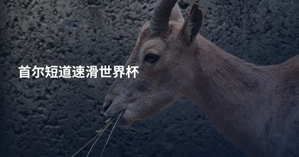 首尔短道速滑世界杯