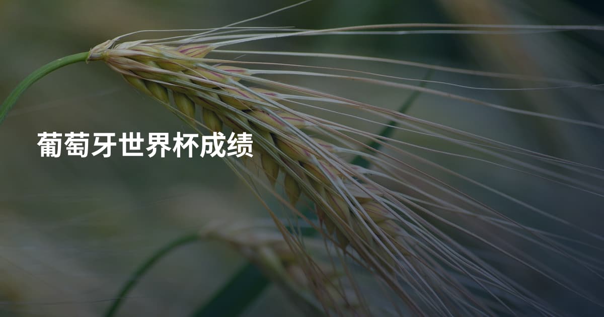 葡萄牙世界杯成绩
