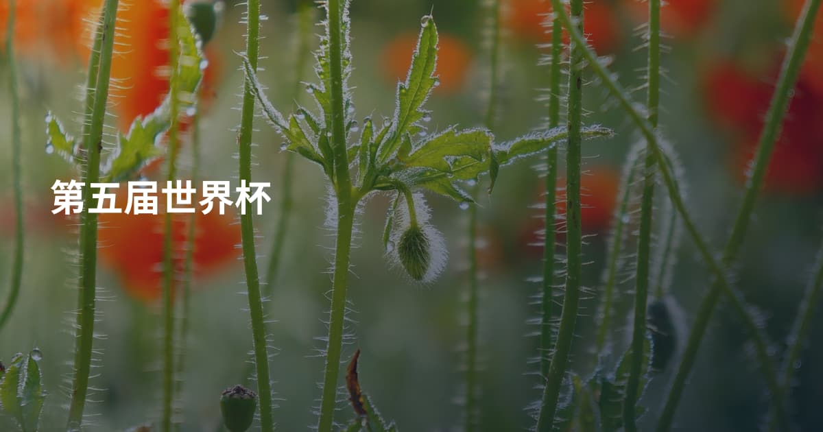 第五届世界杯