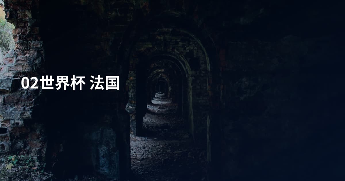 02世界杯 法国