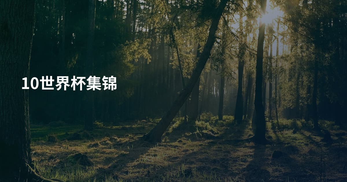 10世界杯集锦