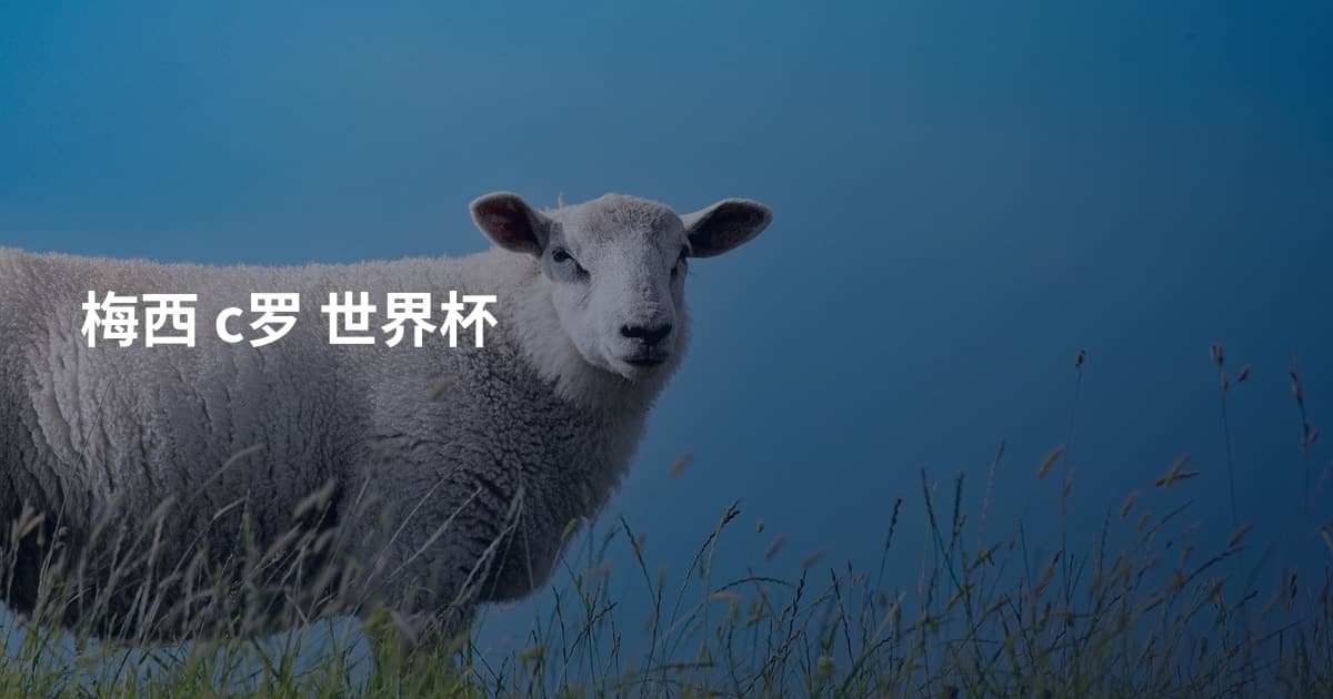 梅西 c罗 世界杯