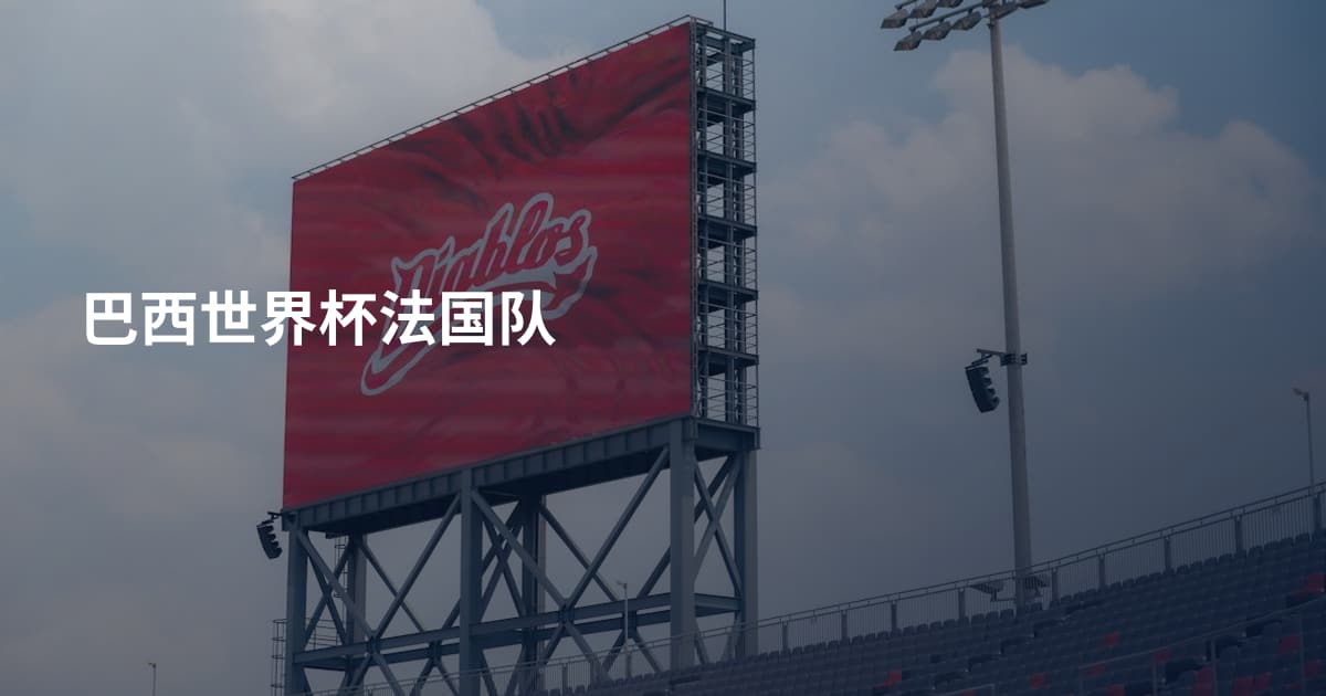 巴西世界杯法国队