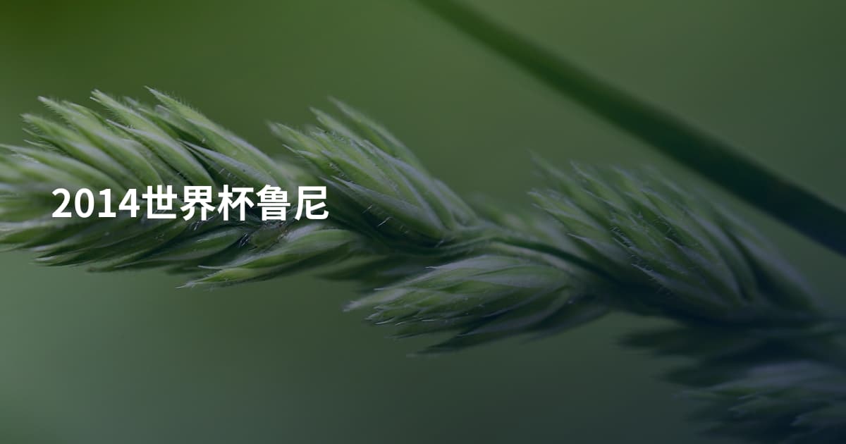 2014世界杯鲁尼