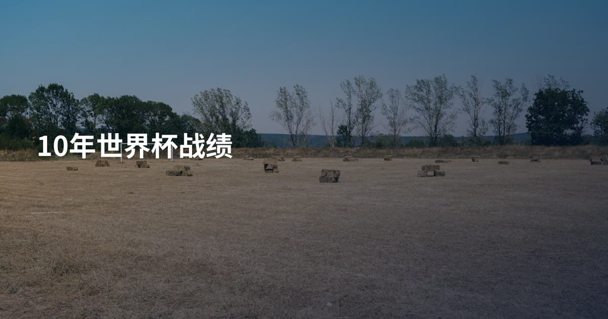 10年世界杯战绩