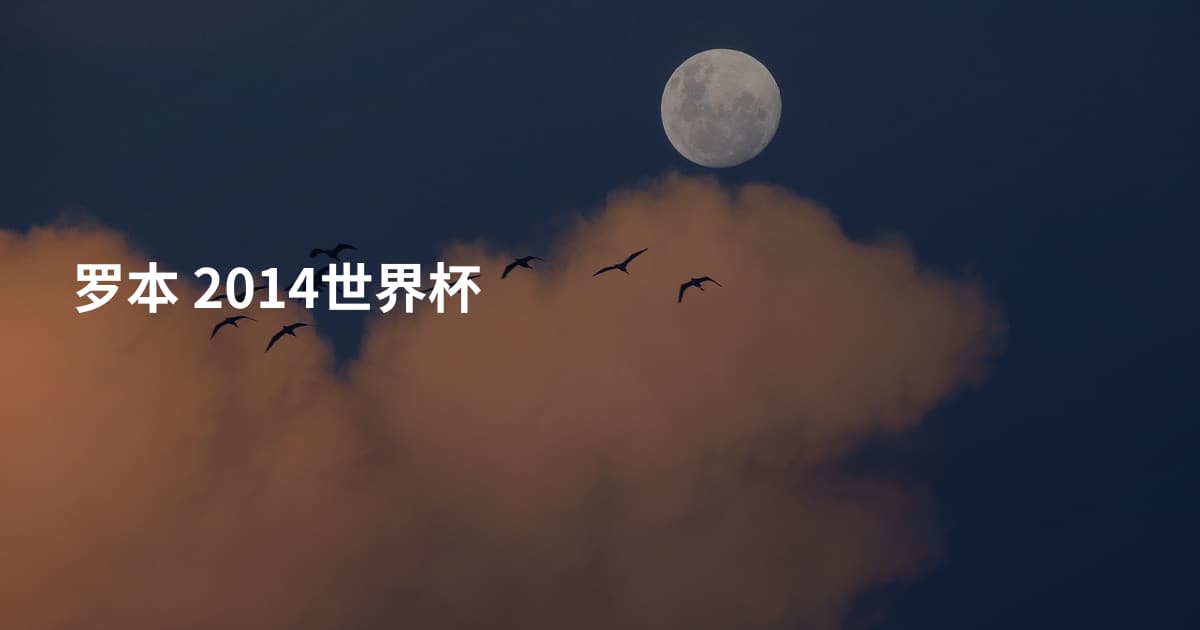 罗本 2014世界杯