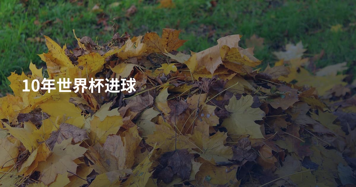 10年世界杯进球