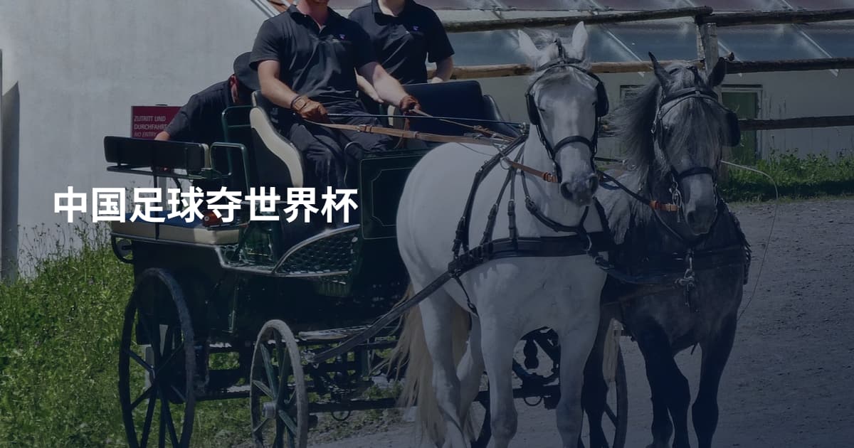 中国足球夺世界杯
