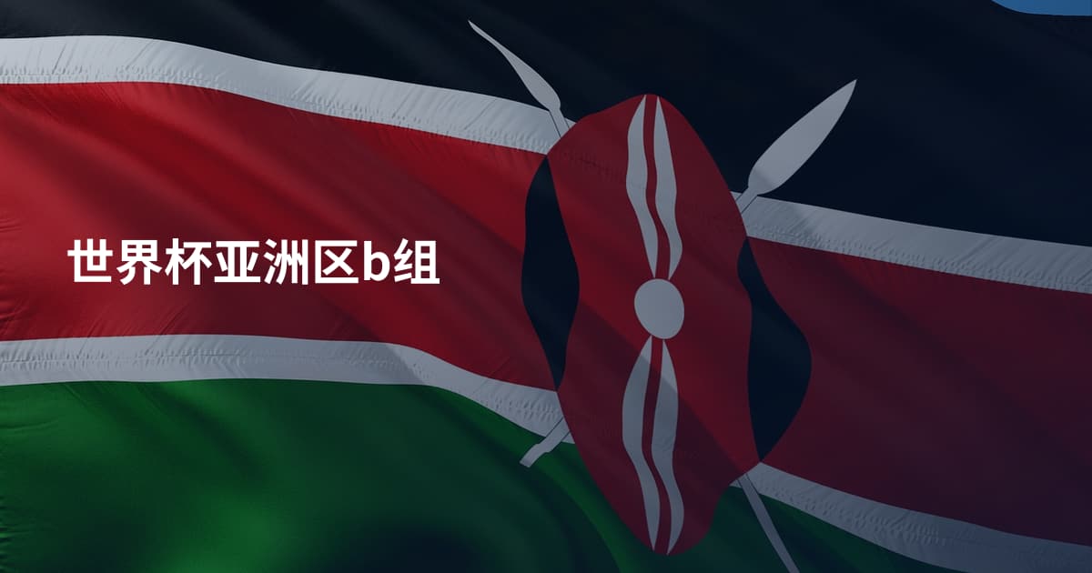 世界杯亚洲区b组