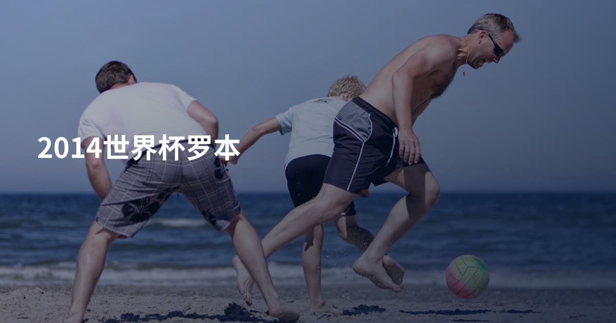 2014世界杯罗本