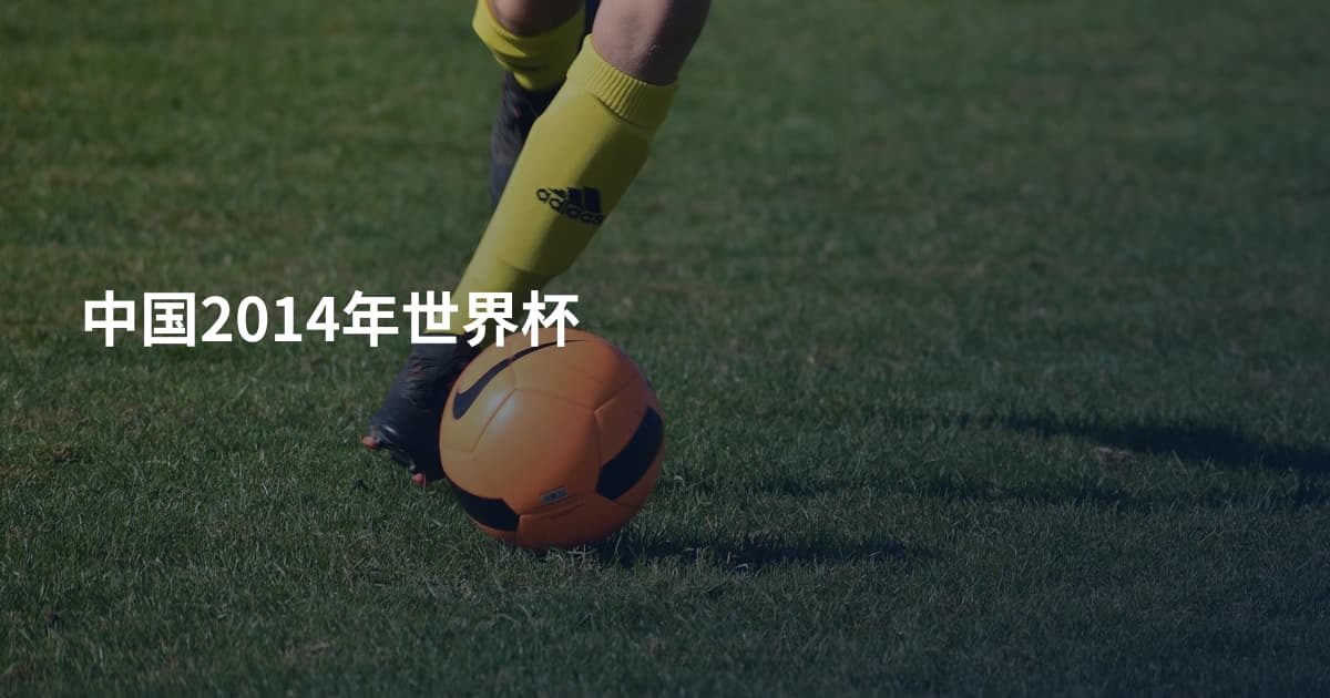 中国2014年世界杯