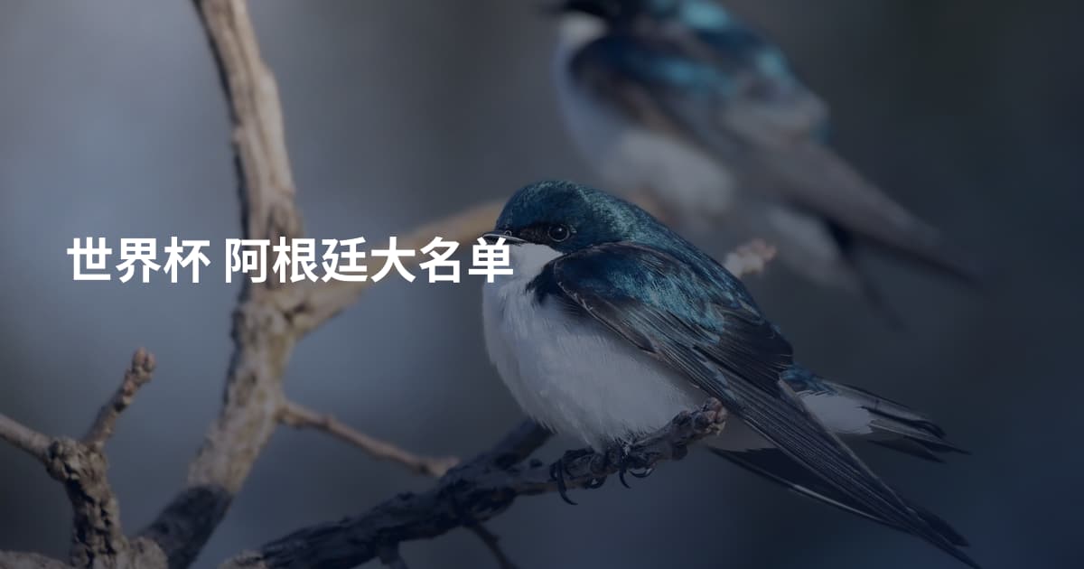 世界杯 阿根廷大名单
