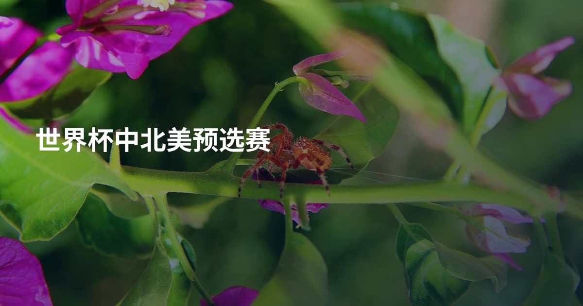 世界杯中北美预选赛