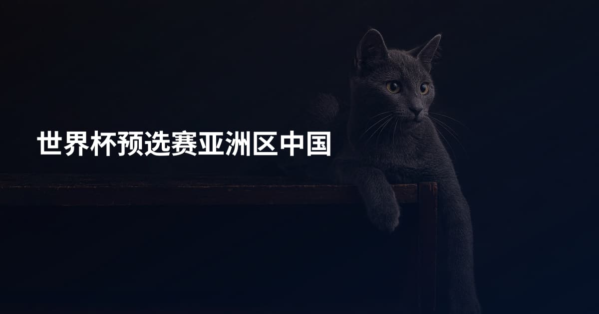 世界杯预选赛亚洲区中国