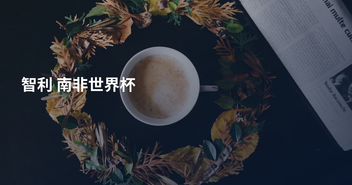 智利 南非世界杯