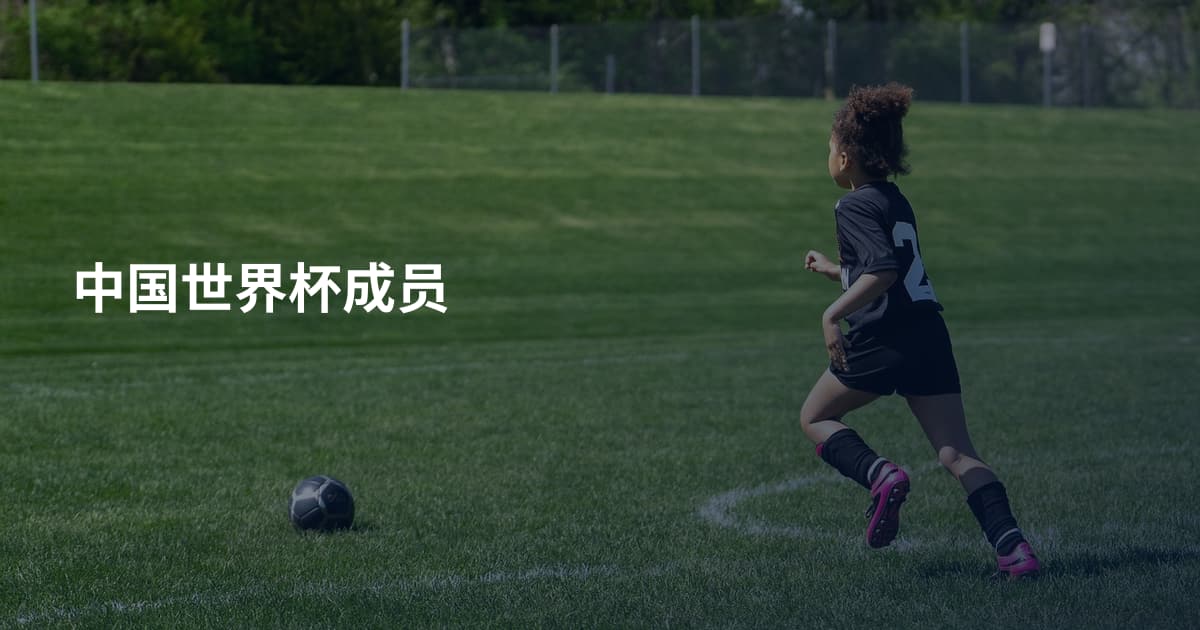 中国世界杯成员
