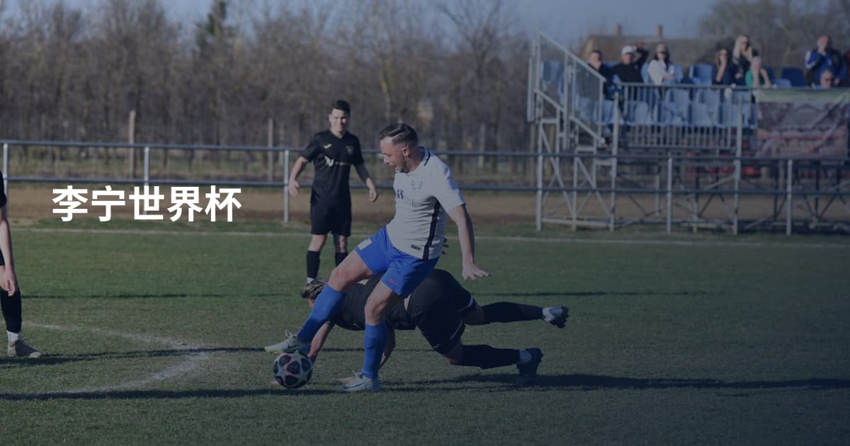 李宁世界杯