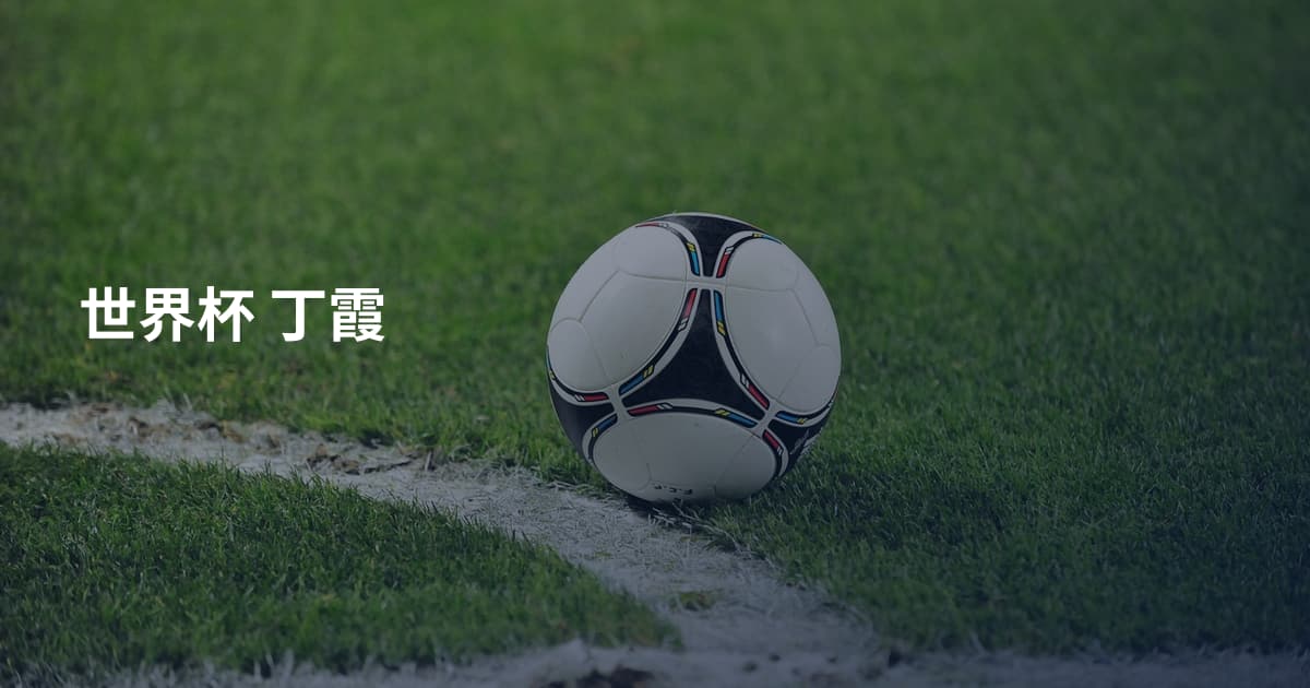 世界杯 丁霞