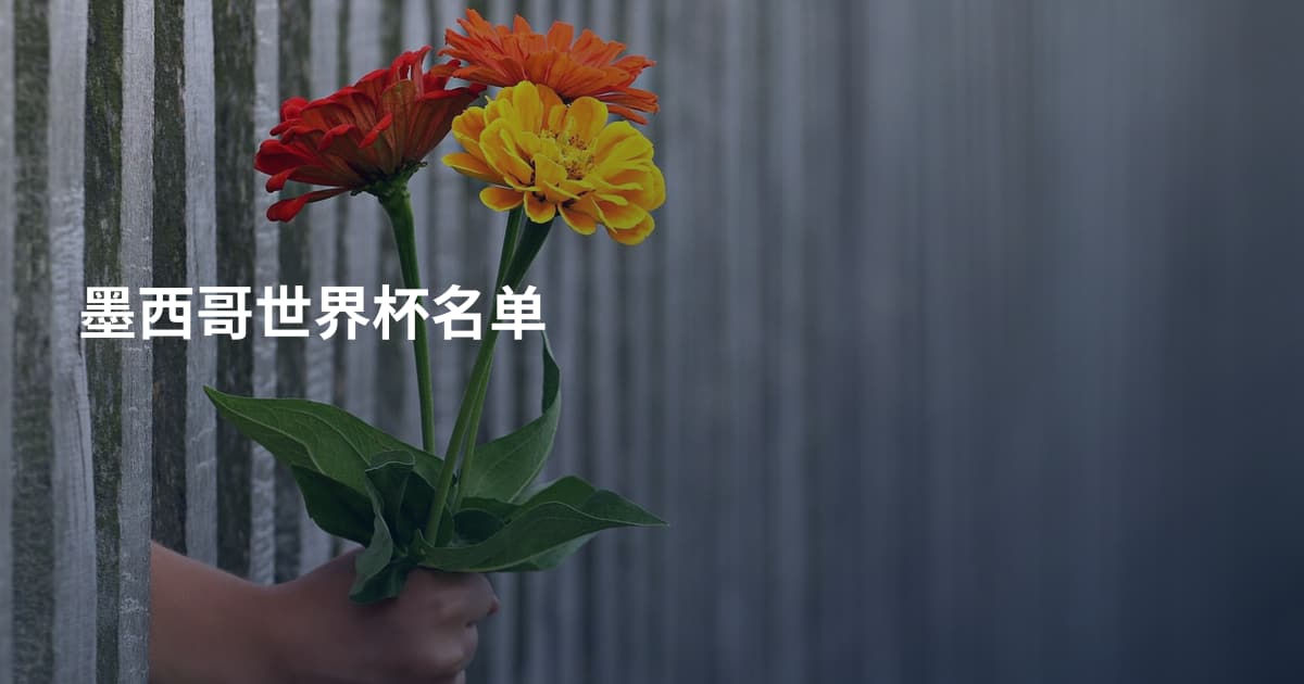 墨西哥世界杯名单