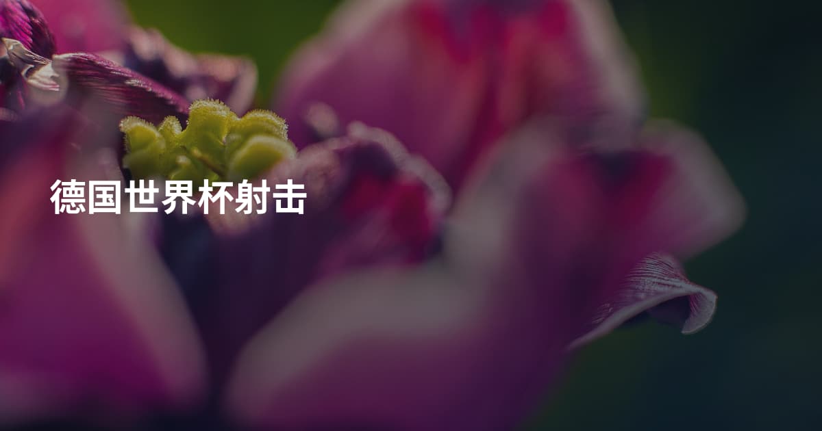 德国世界杯射击
