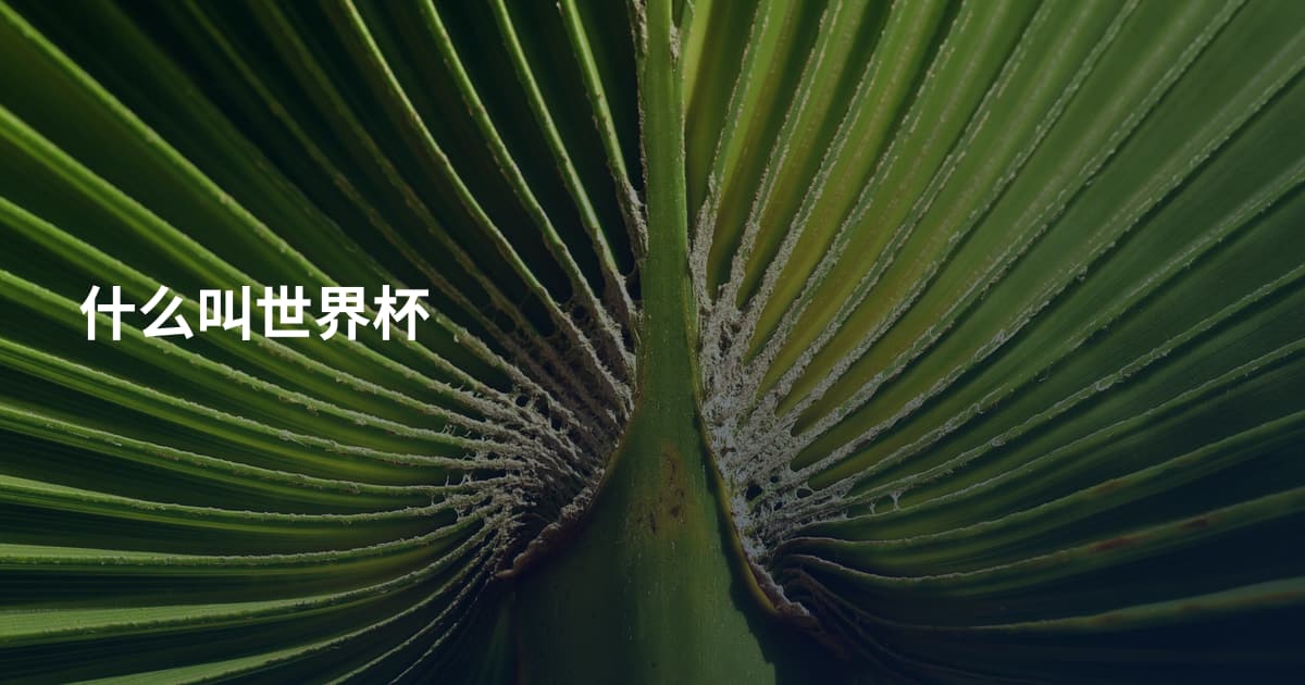 什么叫世界杯