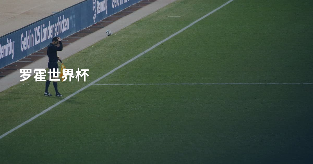 罗霍世界杯