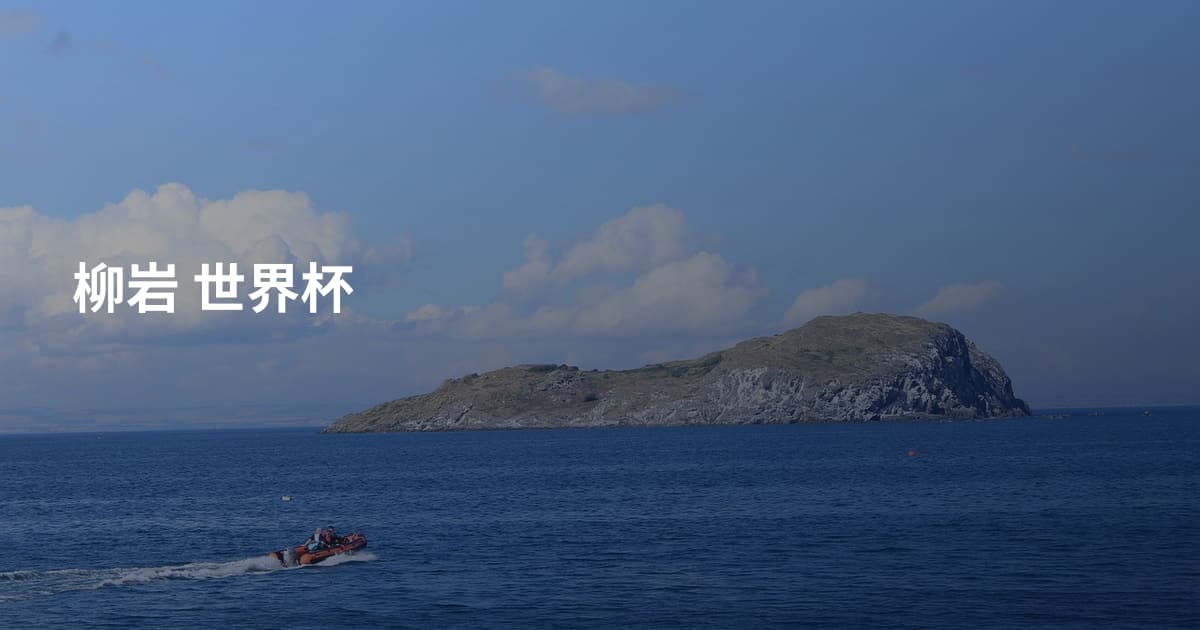 柳岩 世界杯